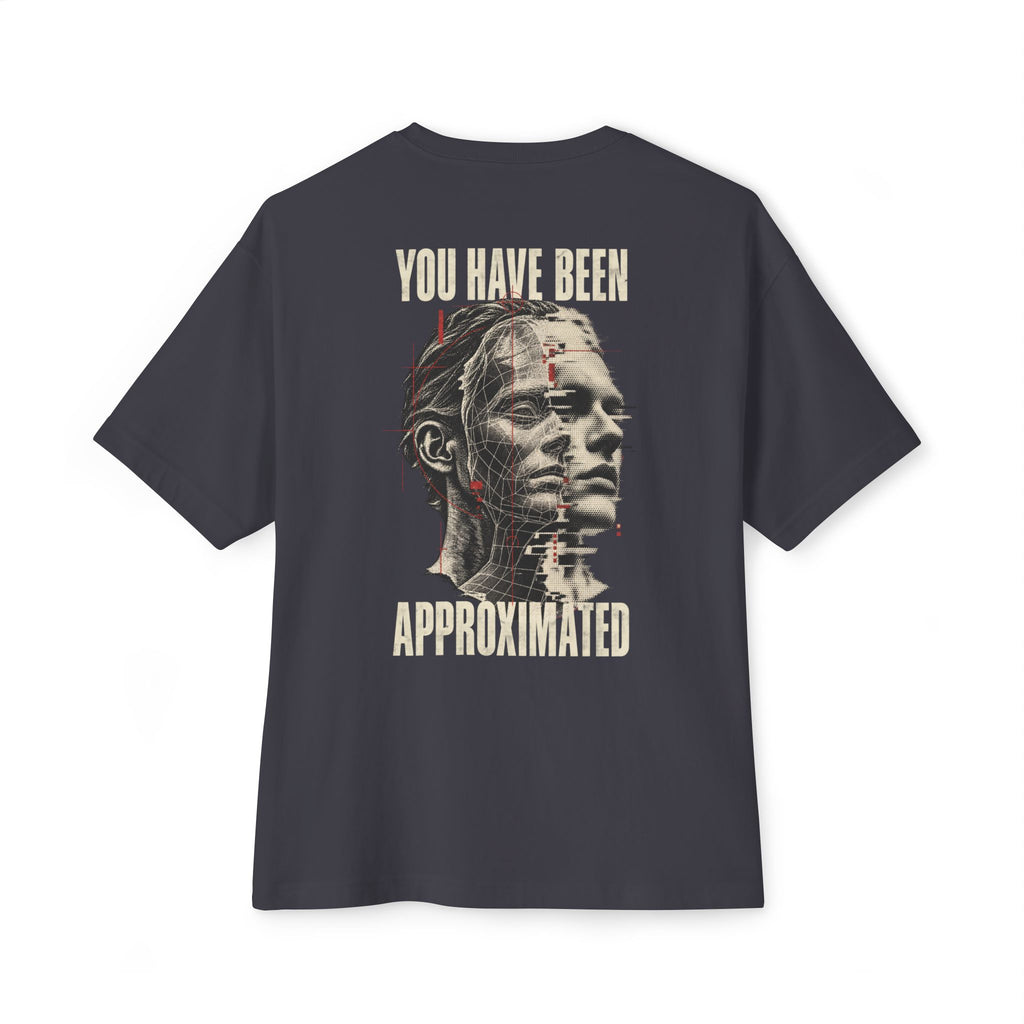 You Have Been Approximated Oversized Tee