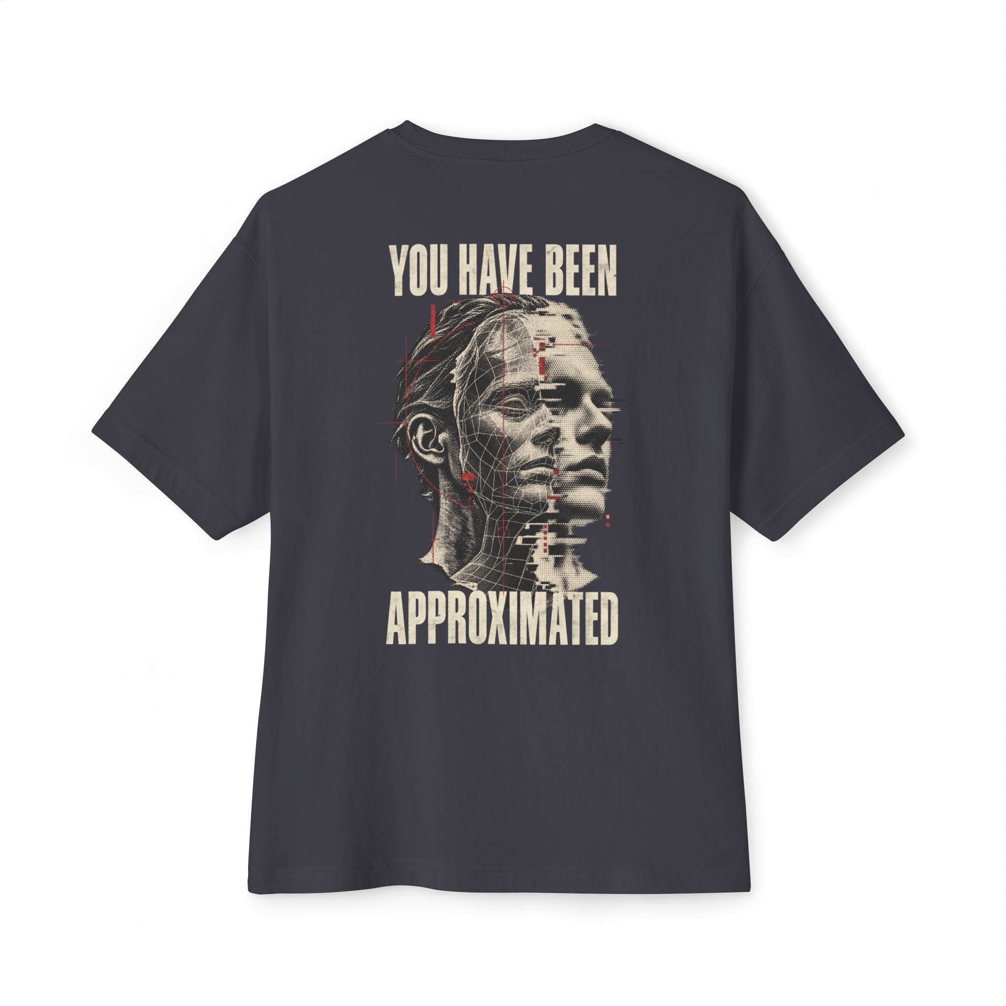 You Have Been Approximated Oversized Tee