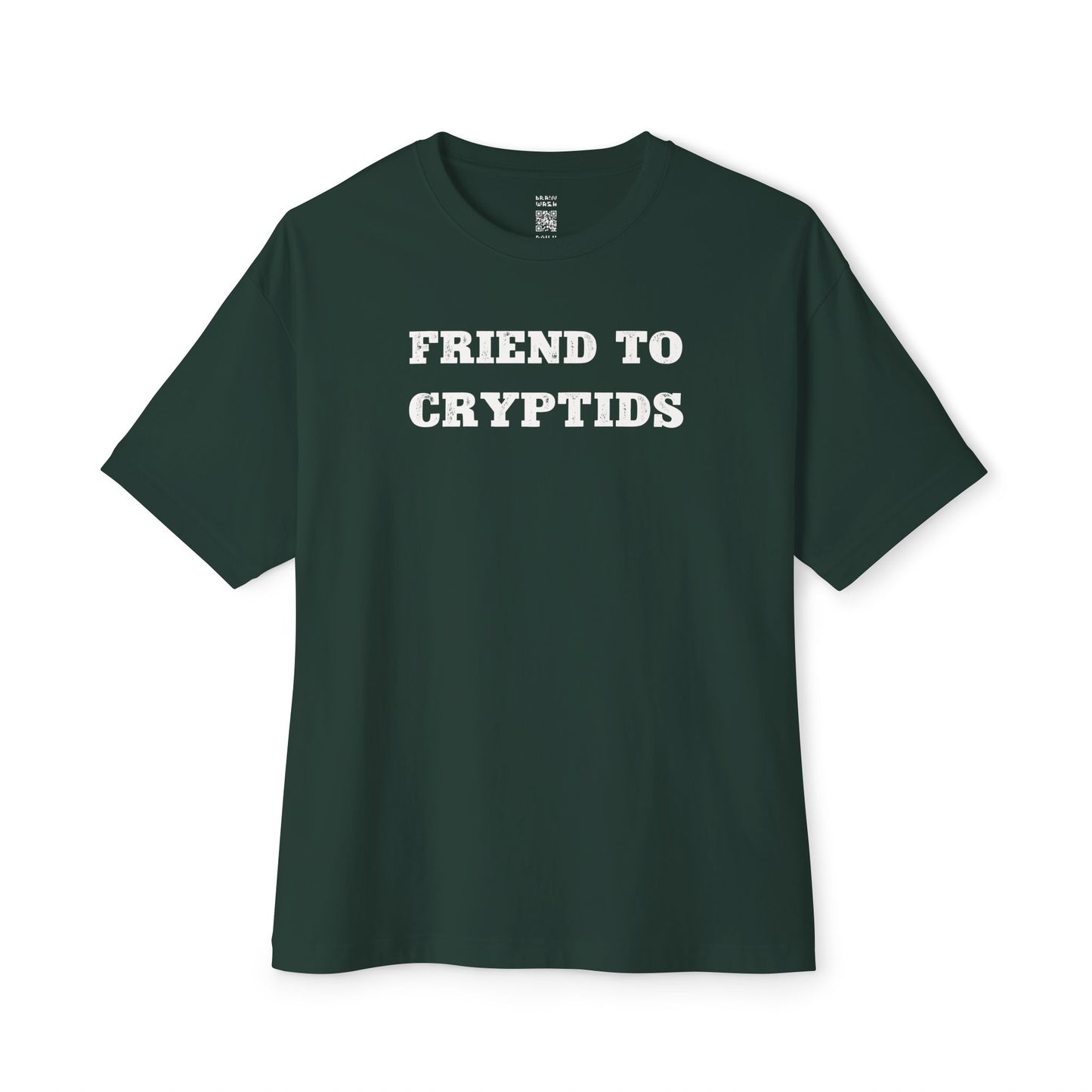 Friend To Cryptids Oversized Tee
