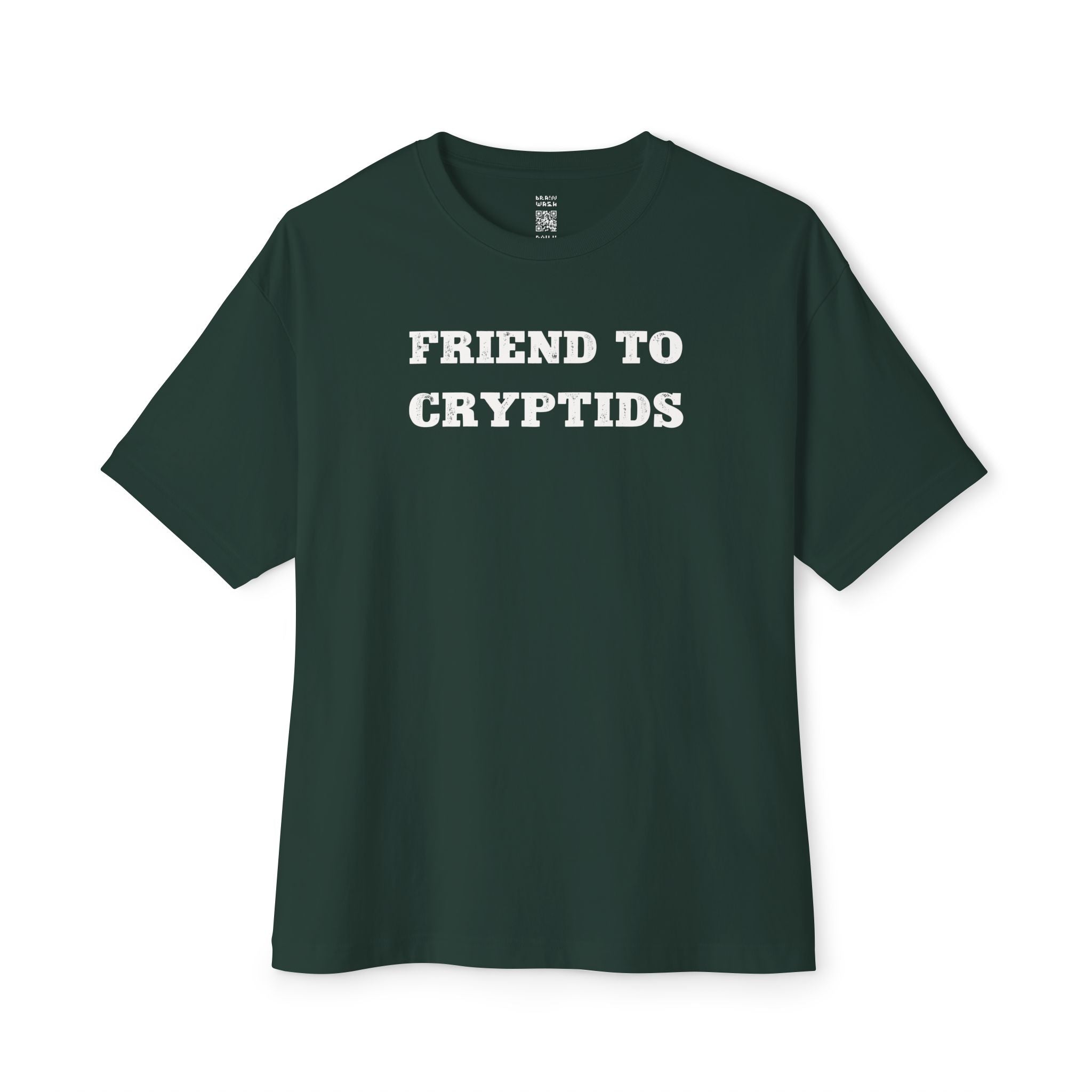 Friend To Cryptids Oversized Tee