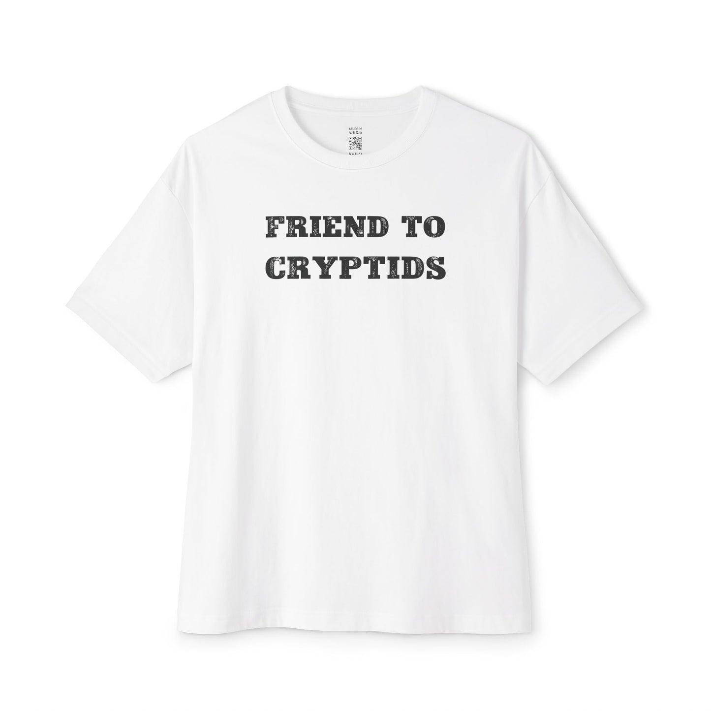 Friend To Cryptids Oversized Tee