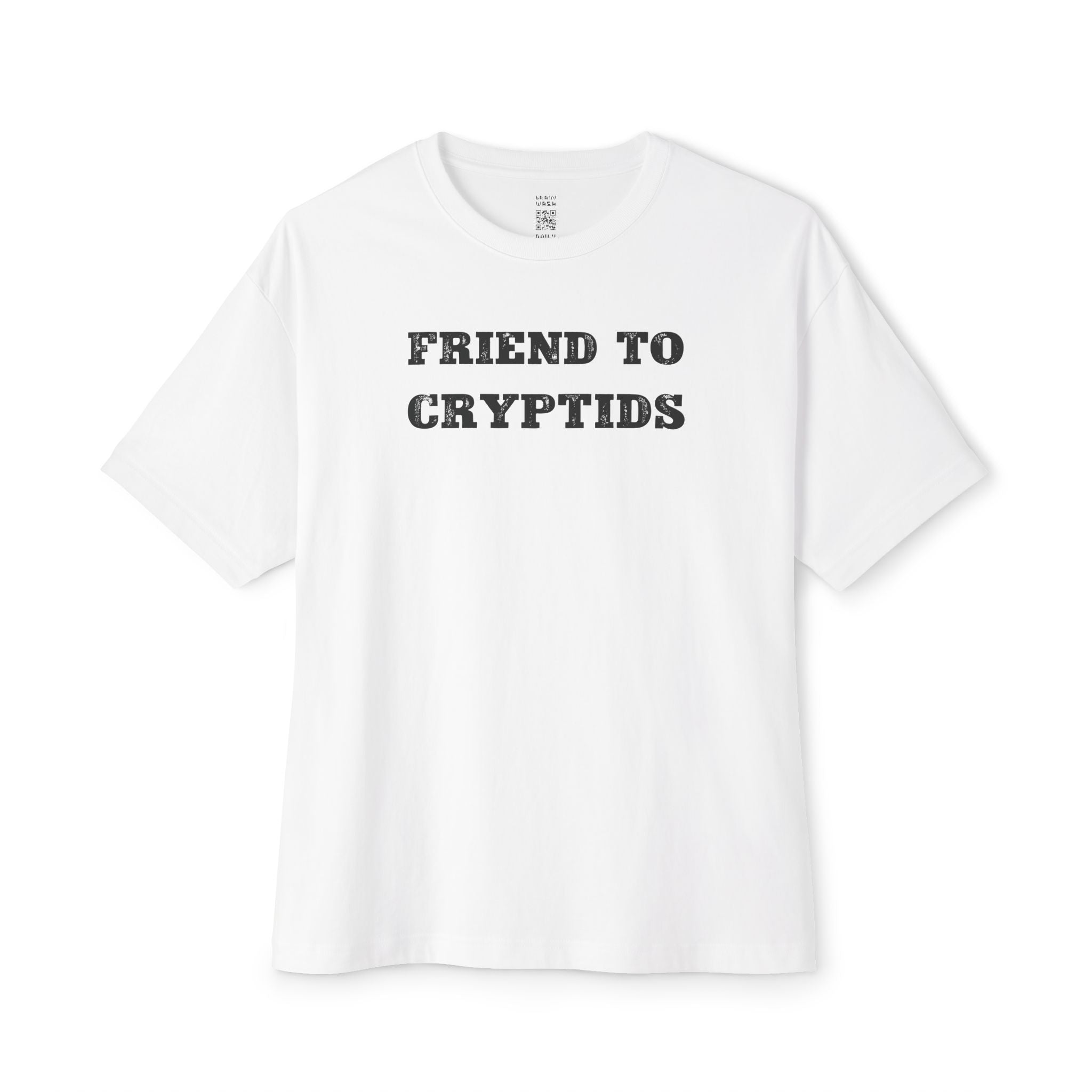 Friend To Cryptids Oversized Tee