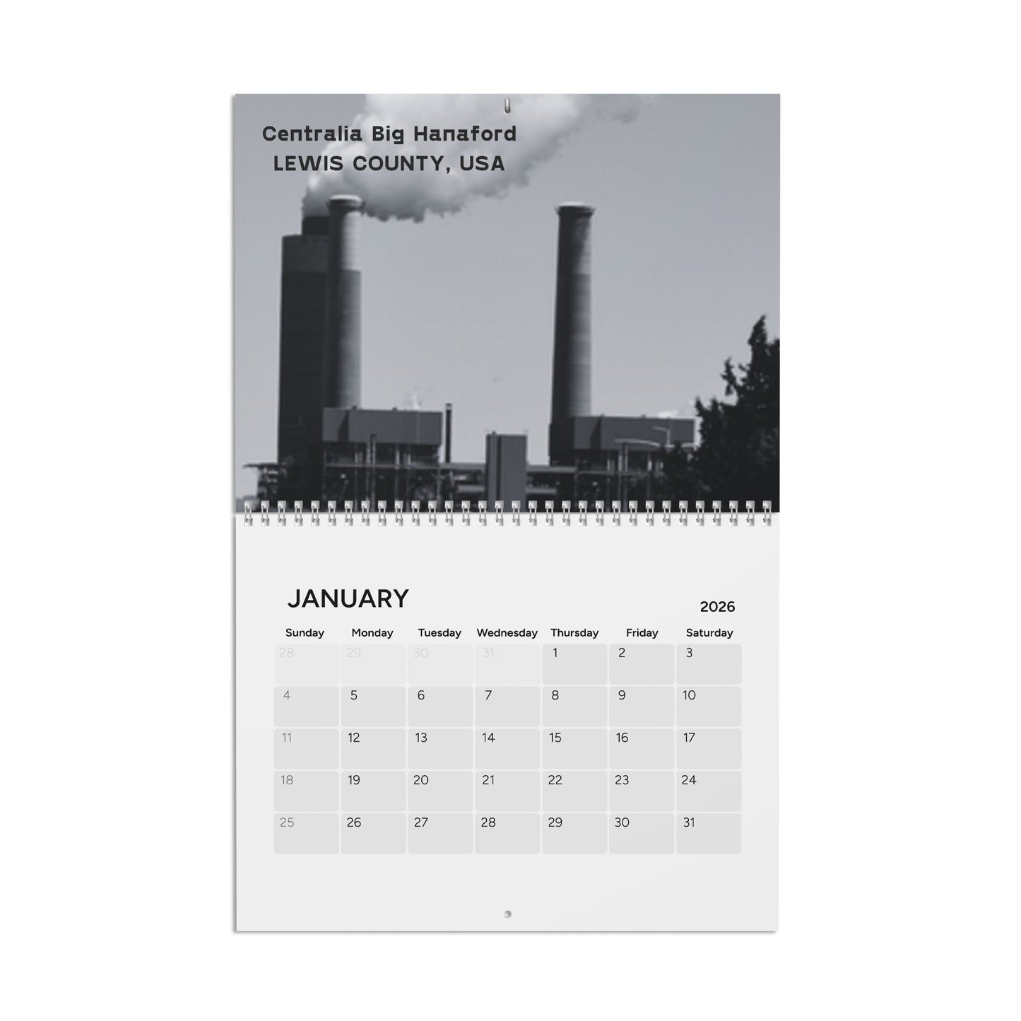 Coal Plants Of The World 2026 Wall Calendar