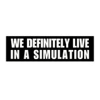 We Definitely Live In A Simulation Bumper Sticker