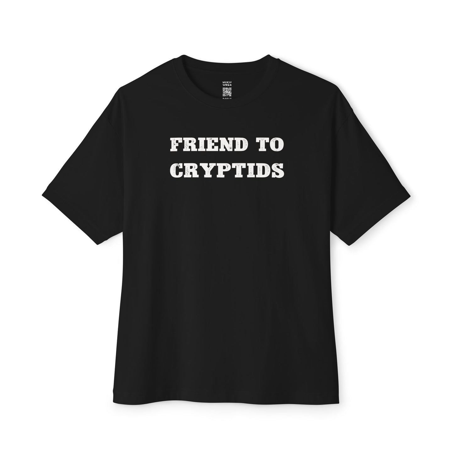 Friend To Cryptids Oversized Tee