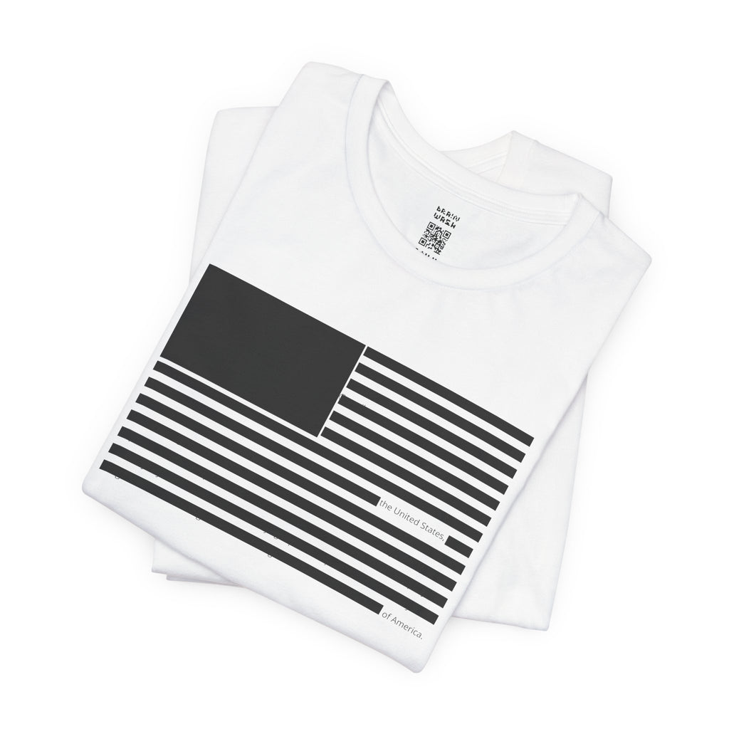 Redacted US Flag T-Shirt