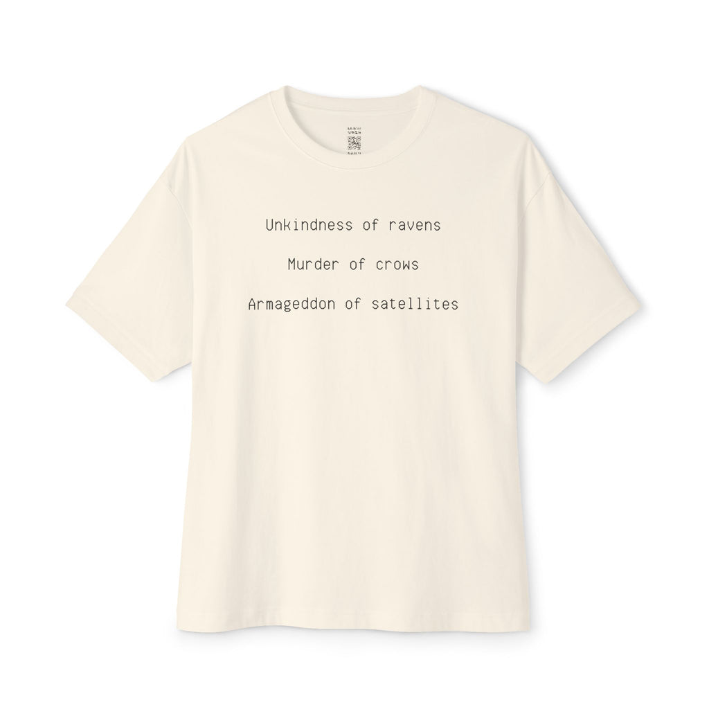 Ominous Flyers Oversized Tee