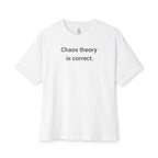 Chaos Theory Is Correct Oversized Tee