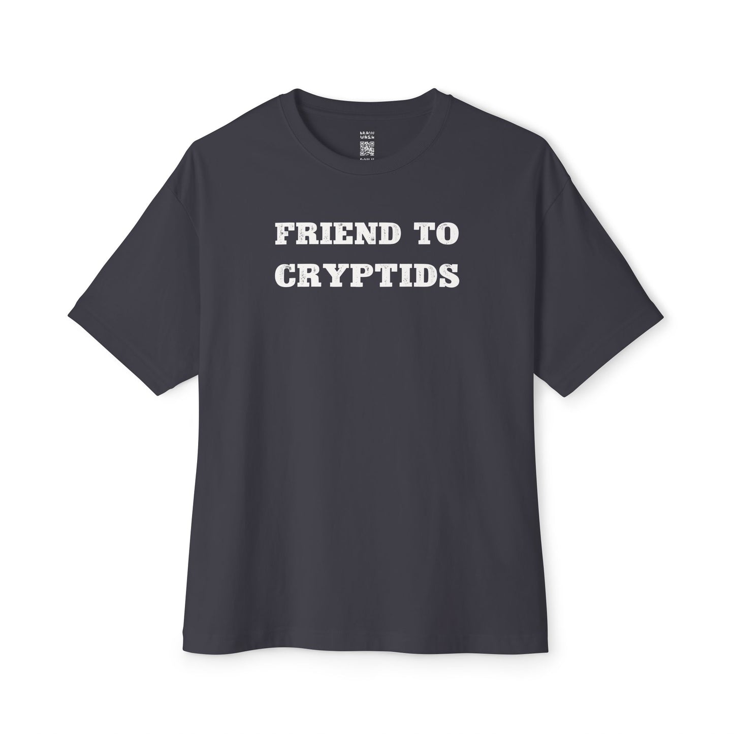 Friend To Cryptids Oversized Tee