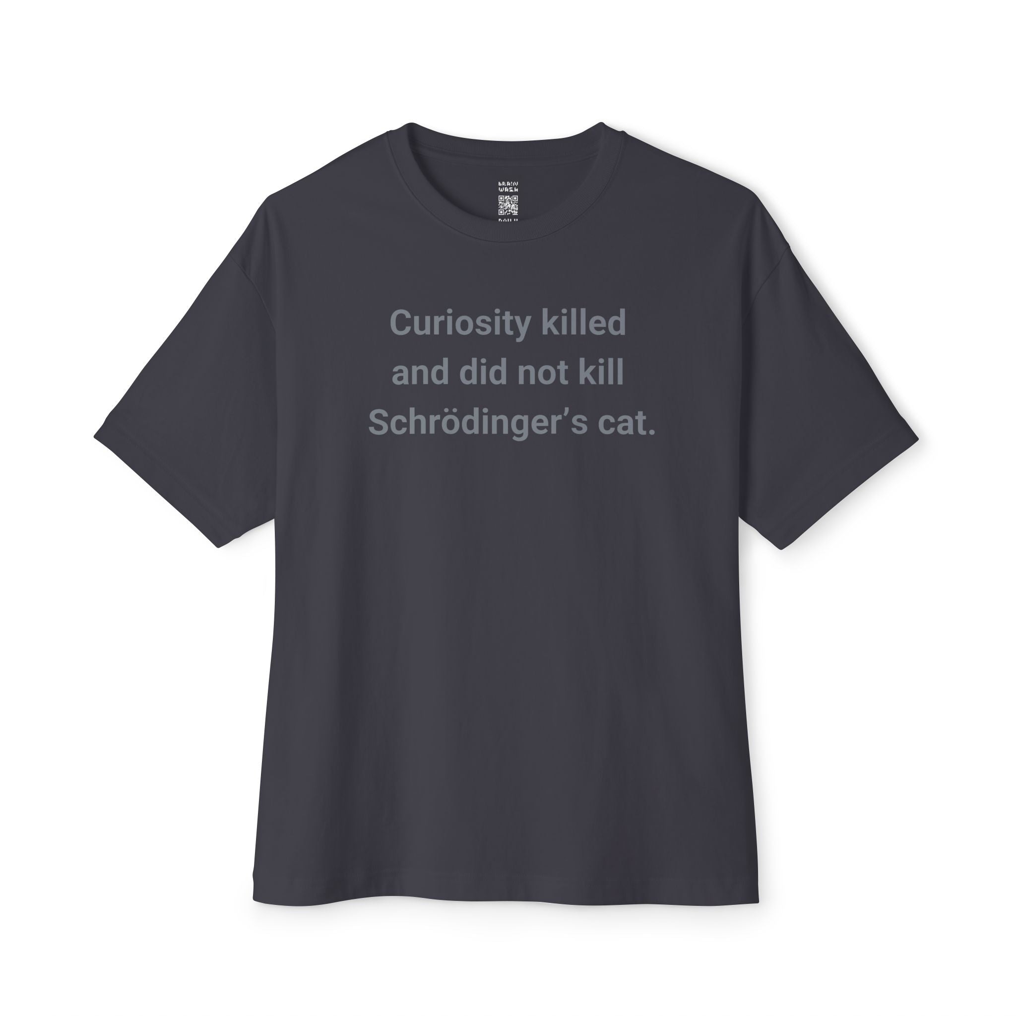 Curiosity And Schrödinger’s Cat Oversized Tee