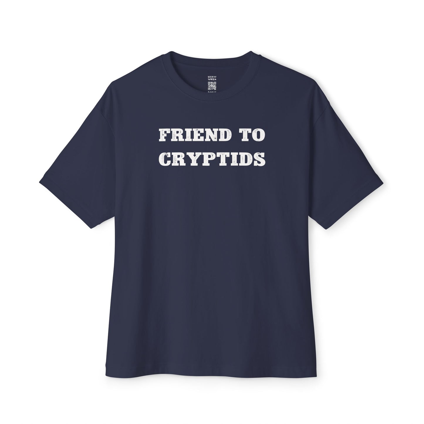 Friend To Cryptids Oversized Tee
