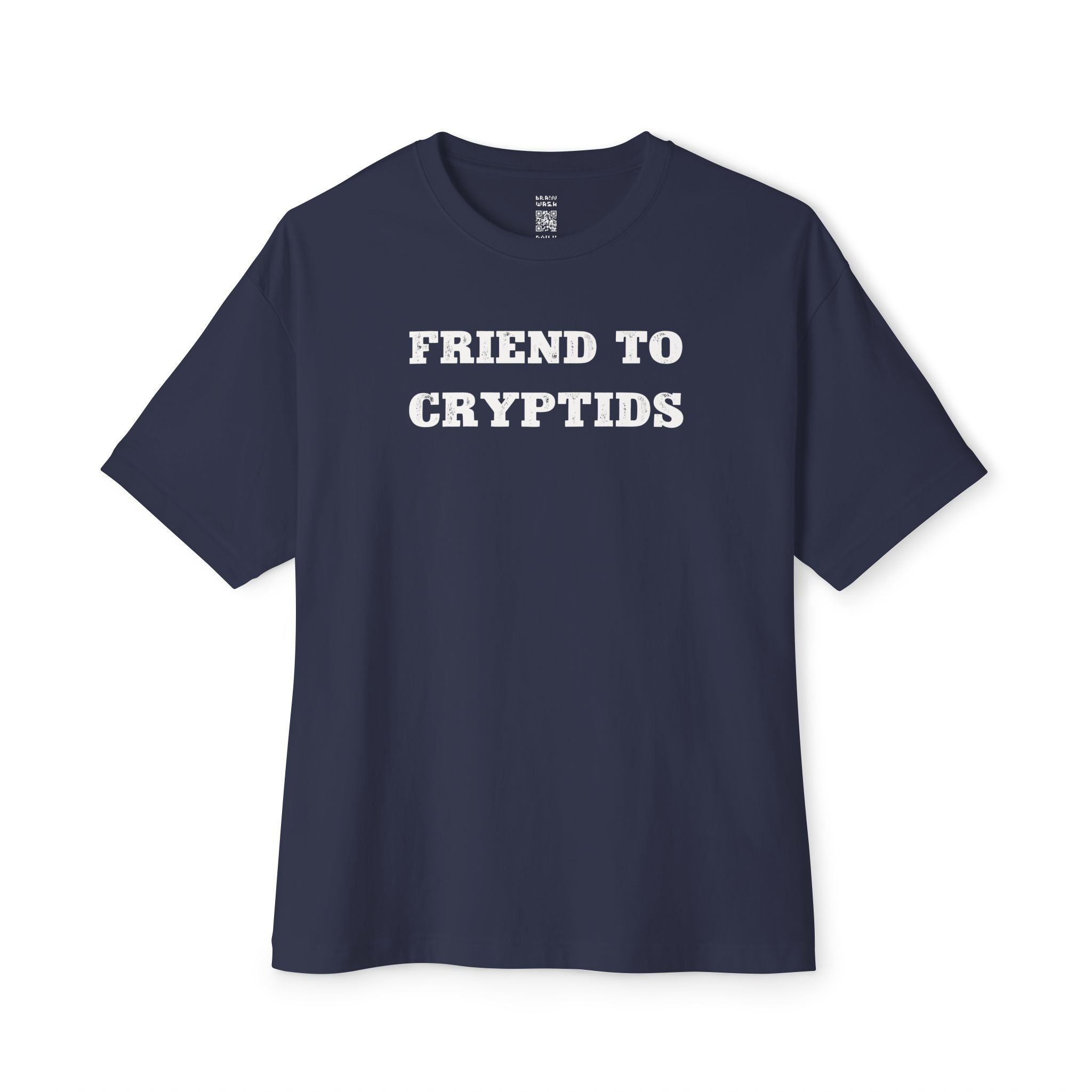 Friend To Cryptids Oversized Tee