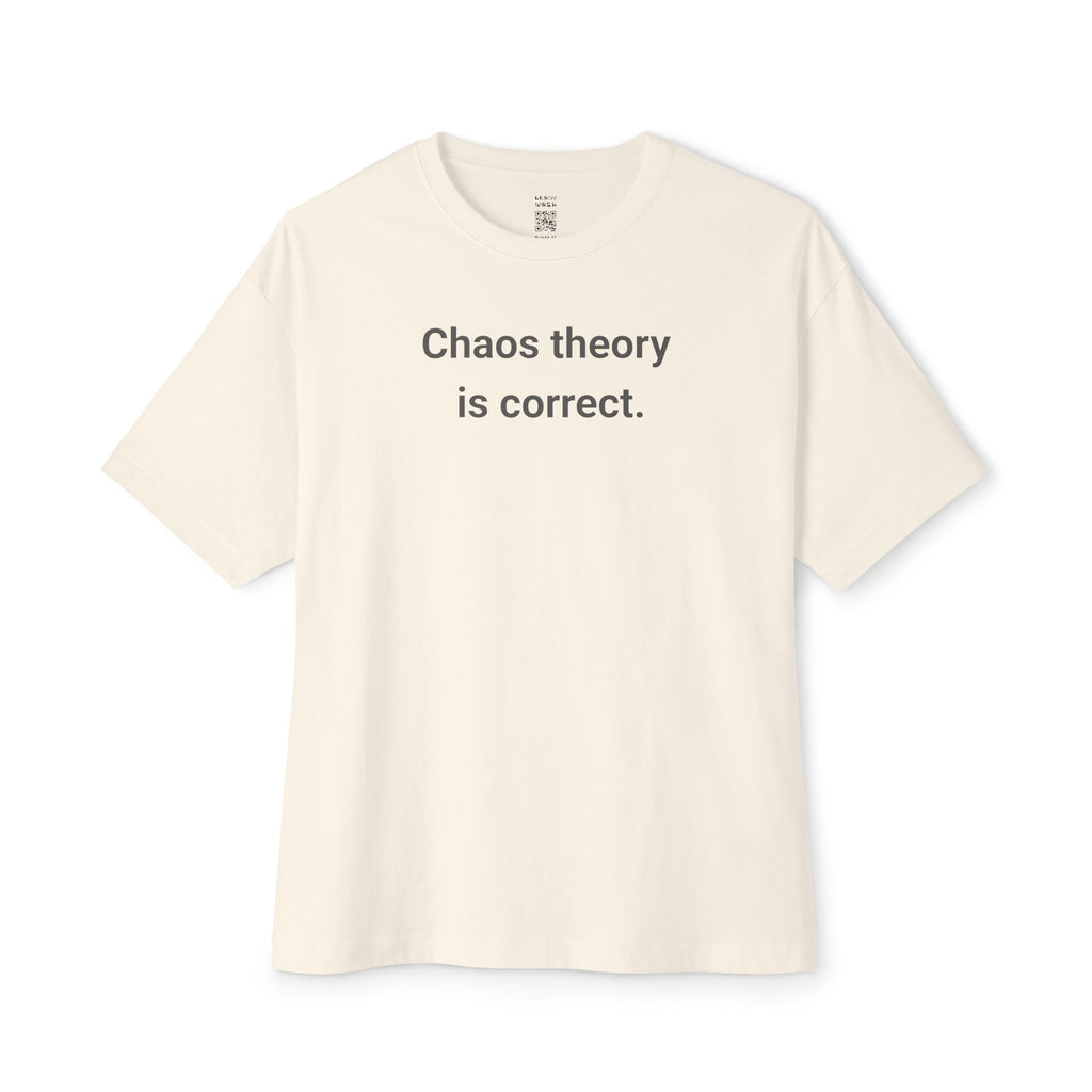 Chaos Theory Is Correct Oversized Tee