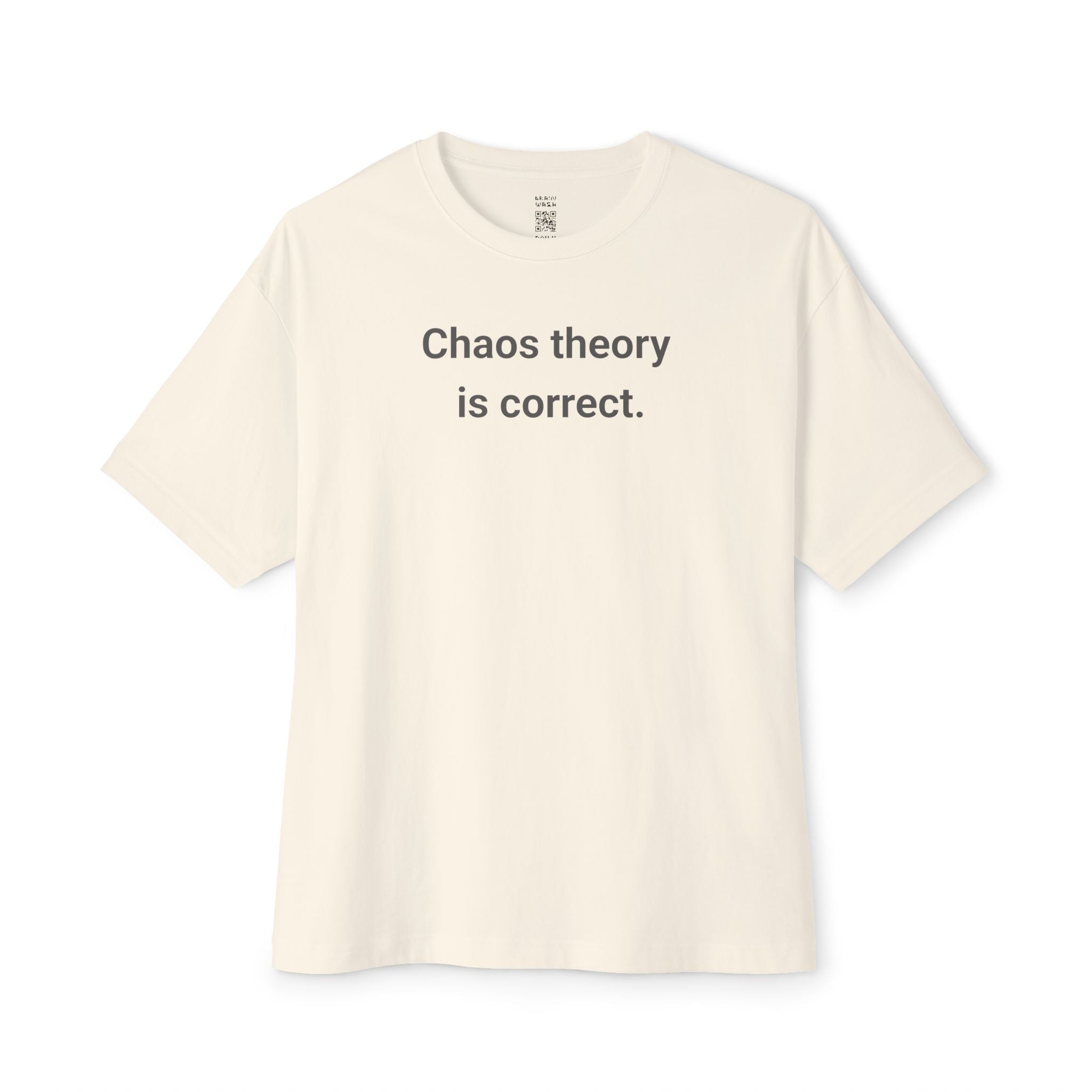Chaos Theory Is Correct Oversized Tee