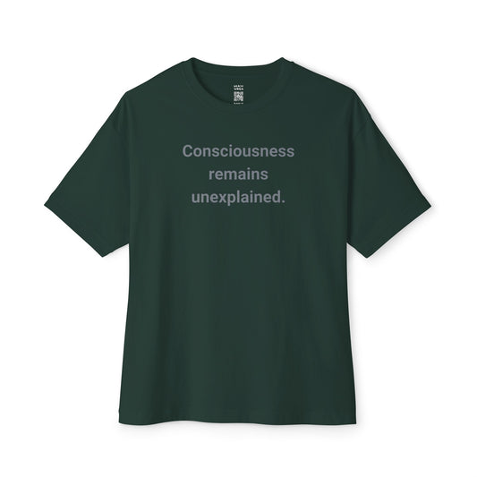 Consciousness Remains Unexplained Oversized Tee