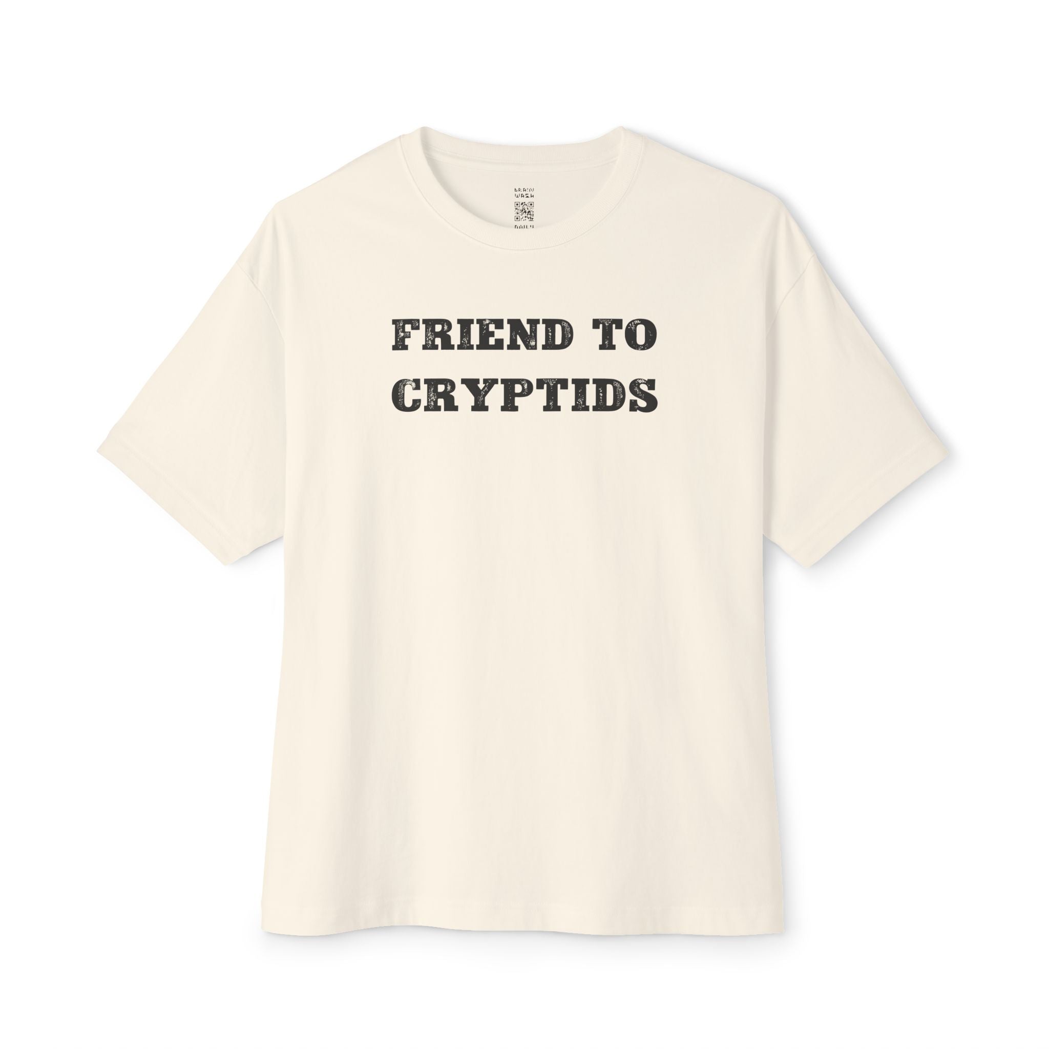 Friend To Cryptids Oversized Tee